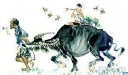 牧童最新爆料,揭秘娱乐圈惊人内幕